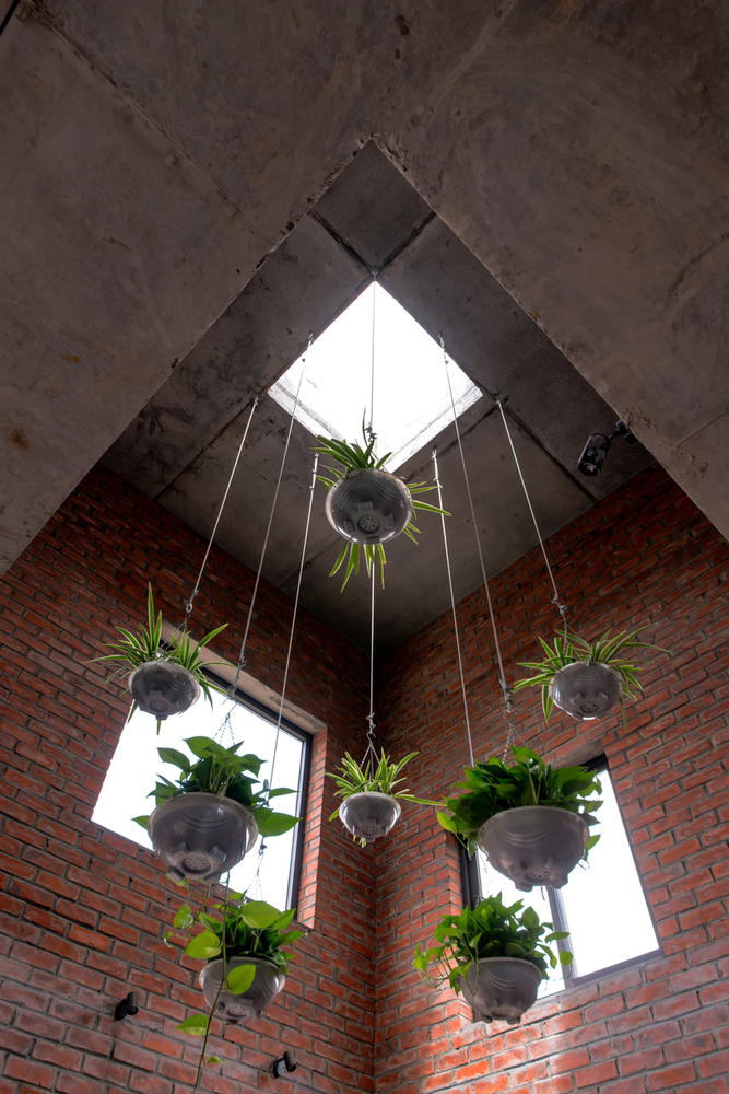 Agrinesture(农业之巢)-39