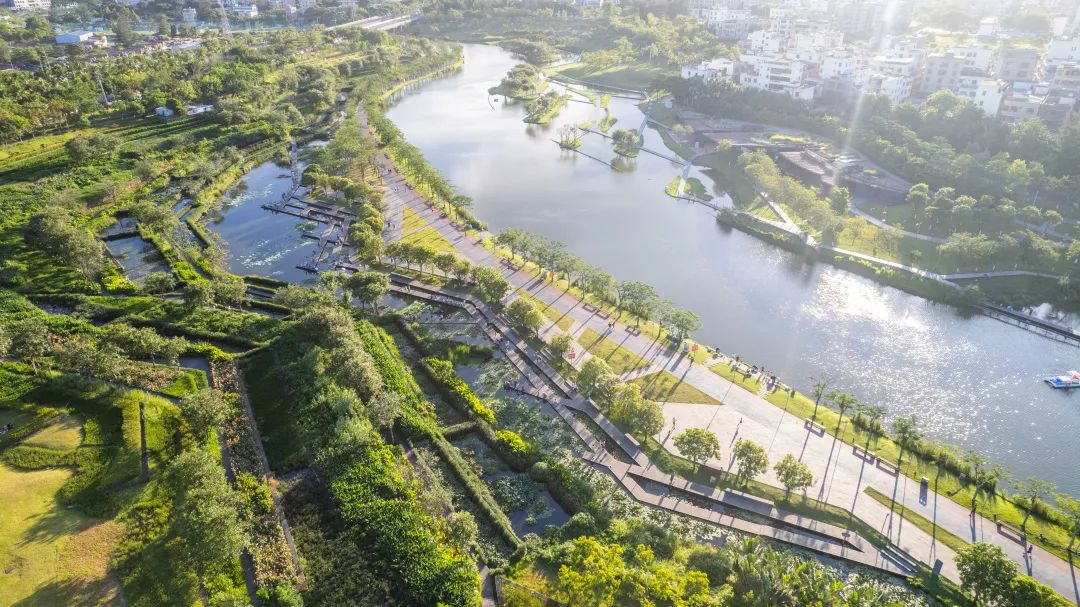 海口市美舍河凤翔湿地公园丨中国海口丨土人设计-18