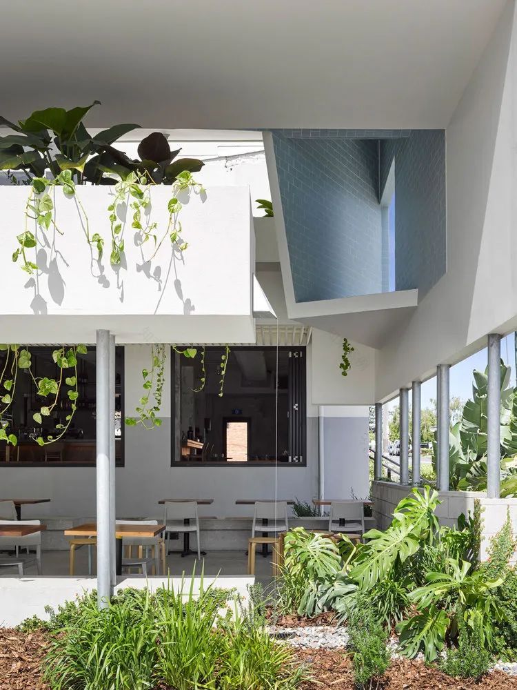 室内景观设计 | 宅家拥抱大自然-65