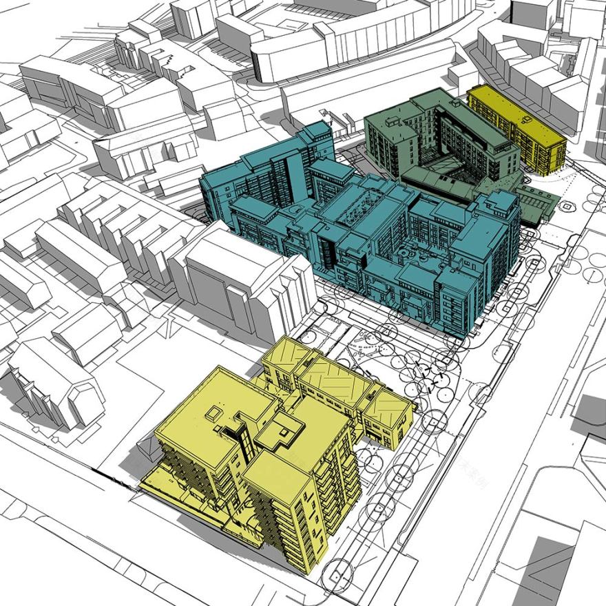 丨Levitt Bernstein-43