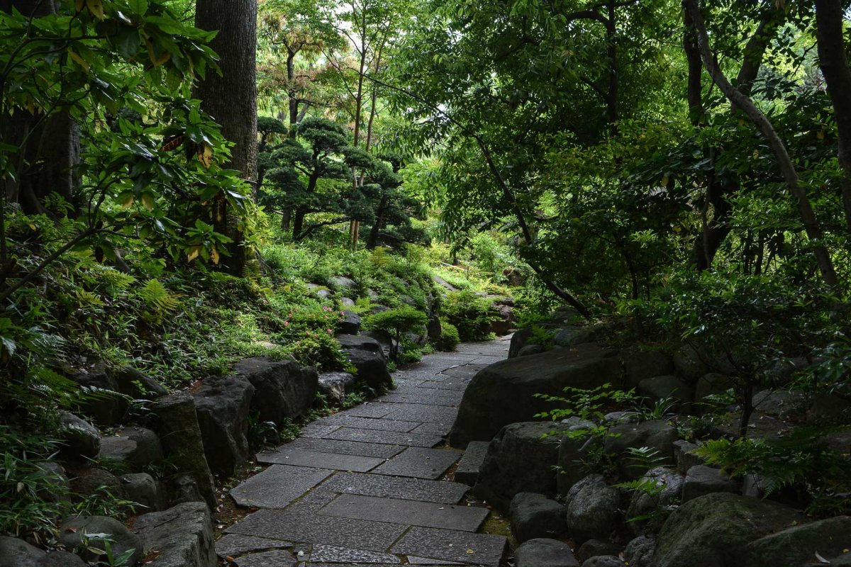 根津美术馆丨日本丨隈研吾-2