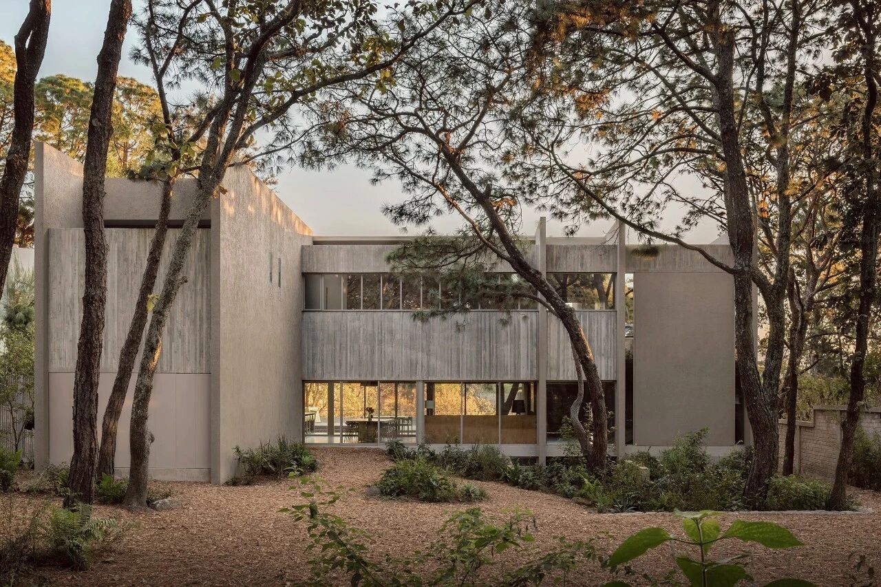 COA Arquitectura,森林庇护所丨墨西哥-14