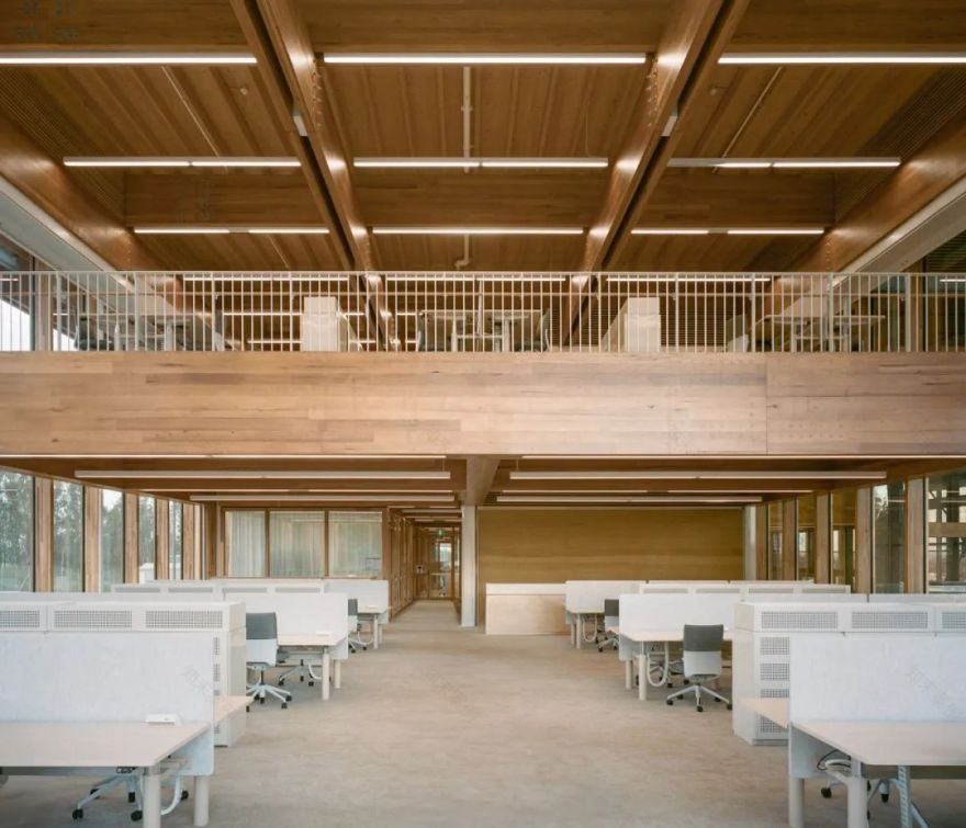 悉尼布拉德菲尔德新城中心“首栋建筑”(First Building)丨澳大利亚悉尼丨Hassell,Djinjama-17