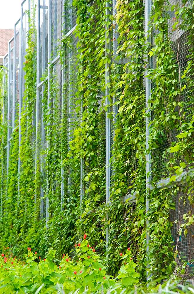 klabzuba总部办公景观-7