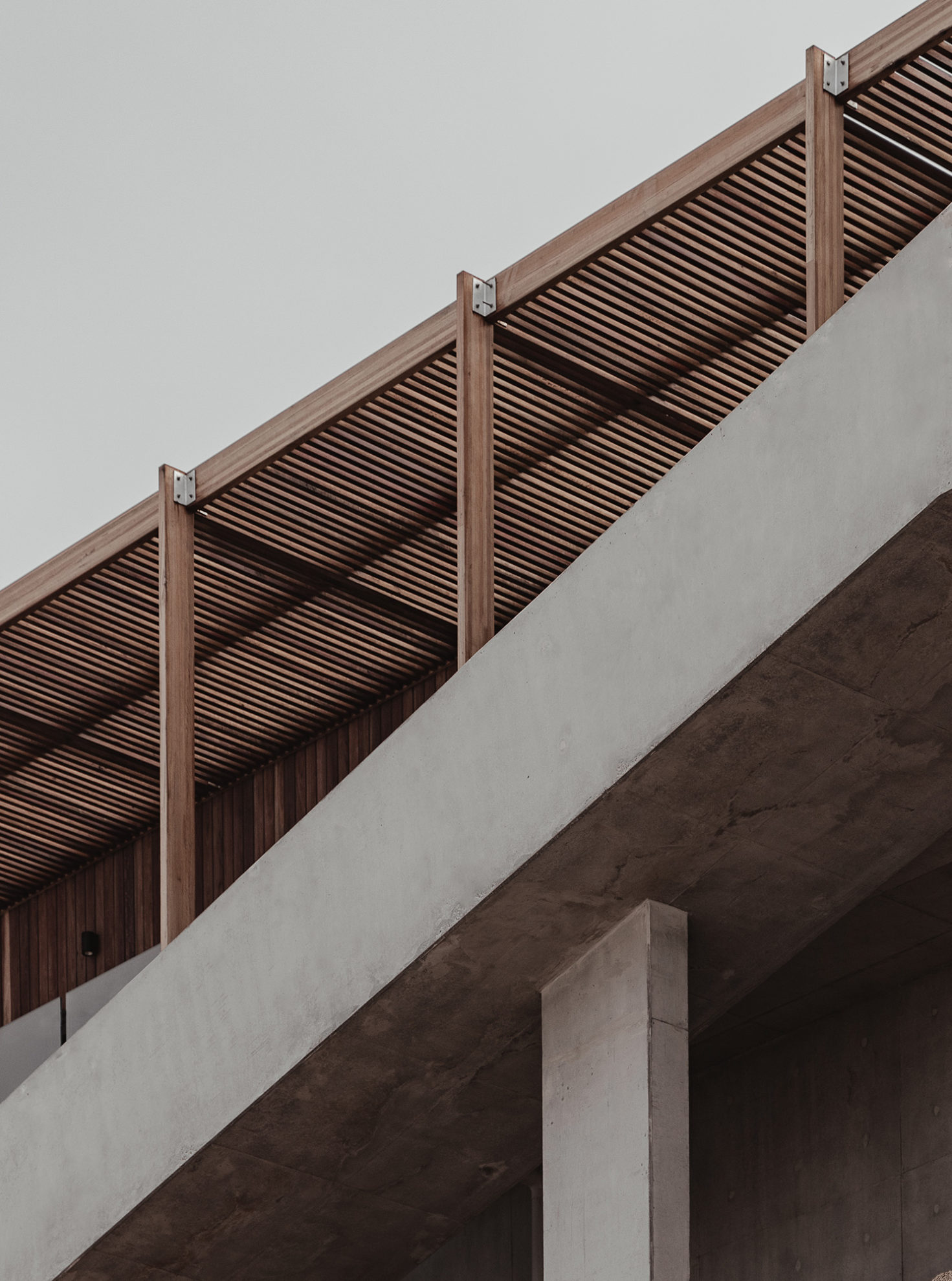 Portsea Surf Life Saving Club Carr Design-5