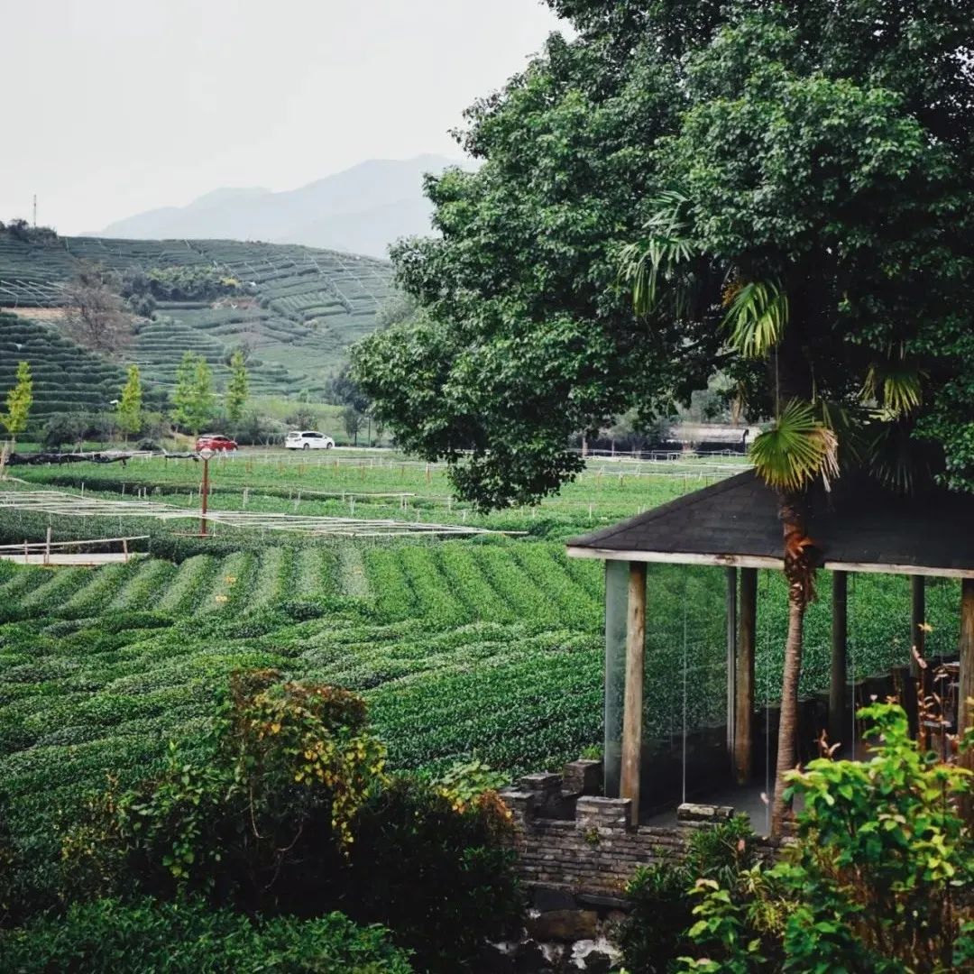 杏院–望远山居丨中国福建丨厦门泛华设计·回应建筑工作室(RESP Studio)-110