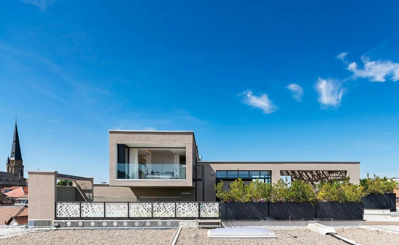 以光之名,栖居之所丨德国法兰克福丨Knoblauch-5