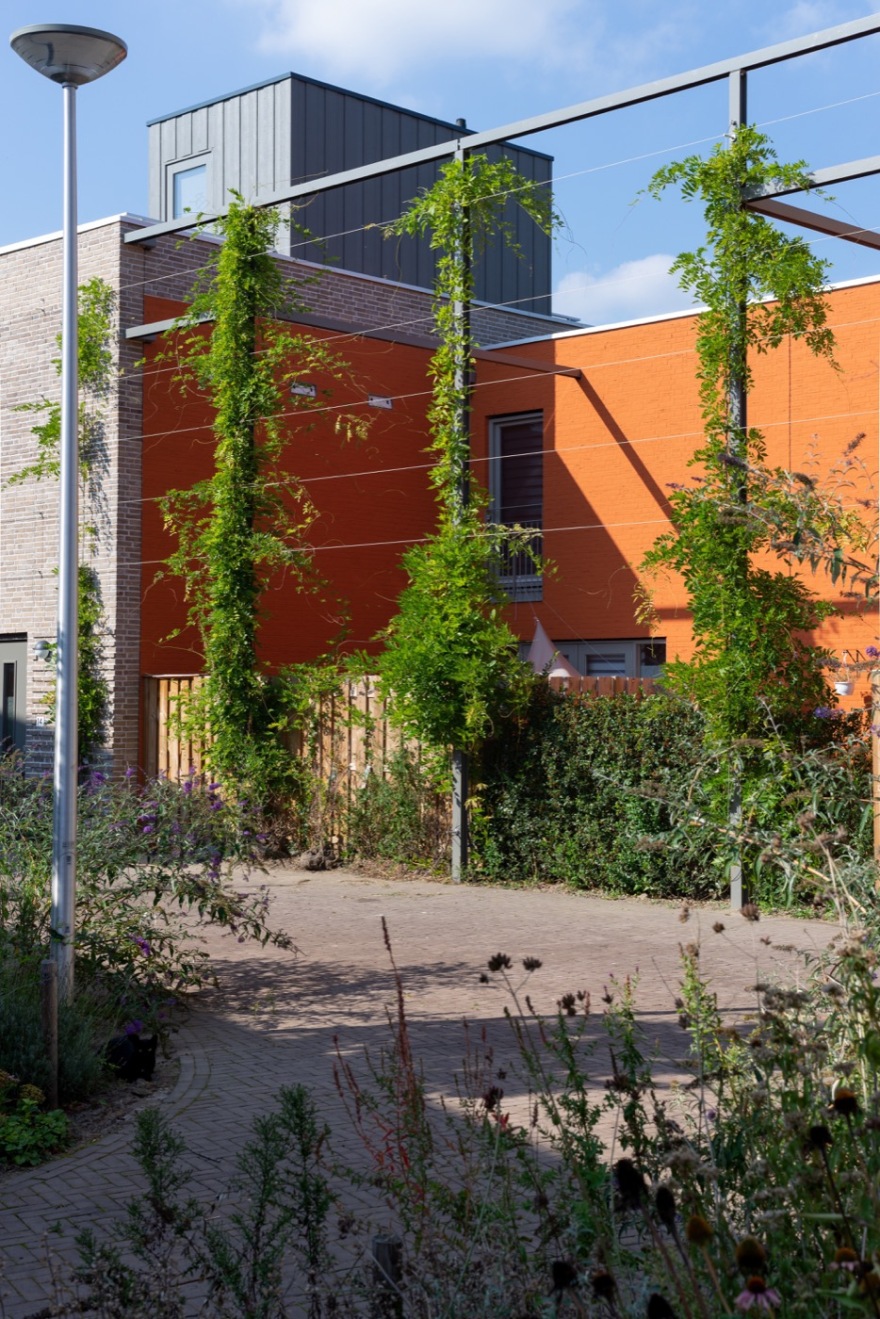 彩色邻里 · 荷兰 Celsius 社区设计-13