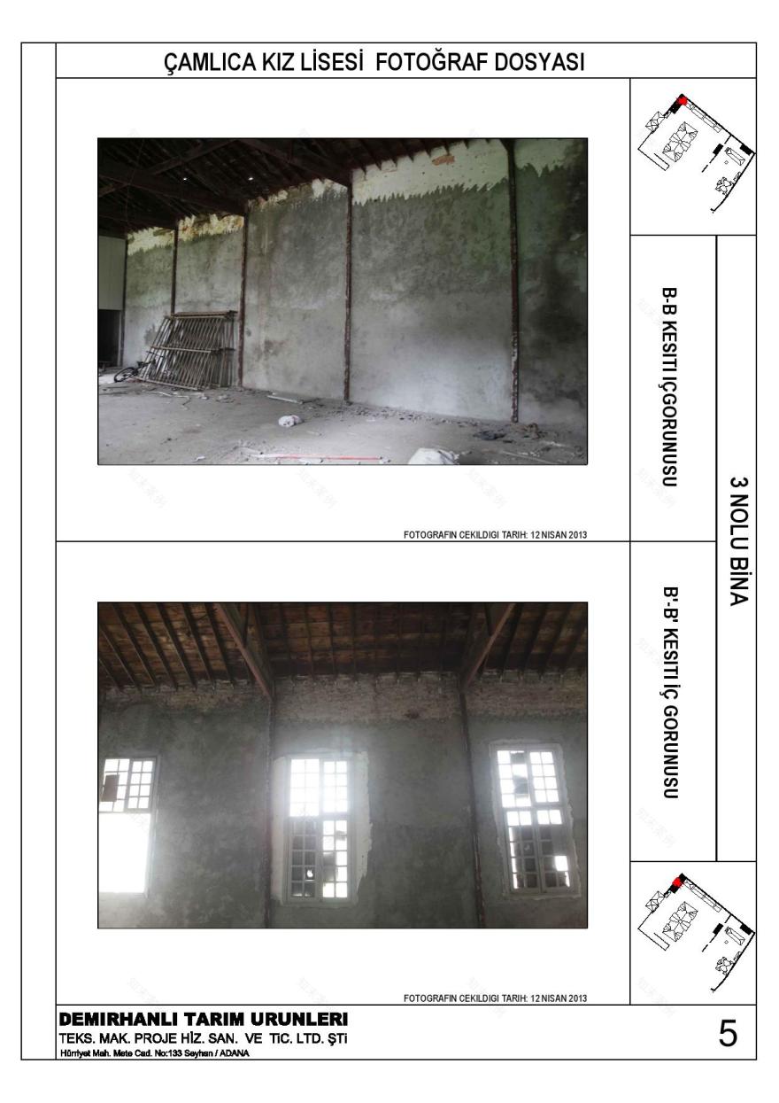 卡米卡高中历史墙保护-9