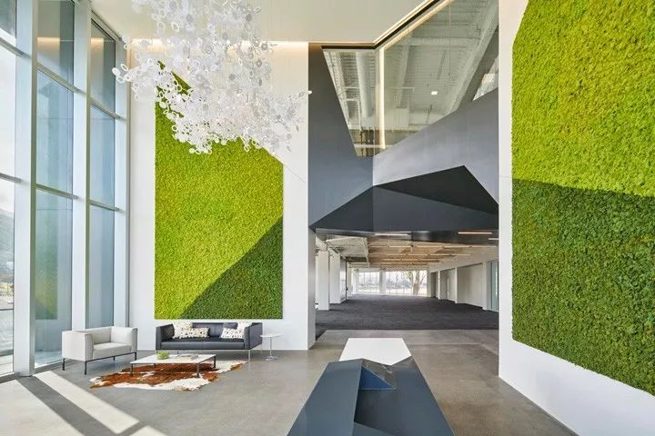 加州布里斯班滨海大道办公大楼室内外改造-25