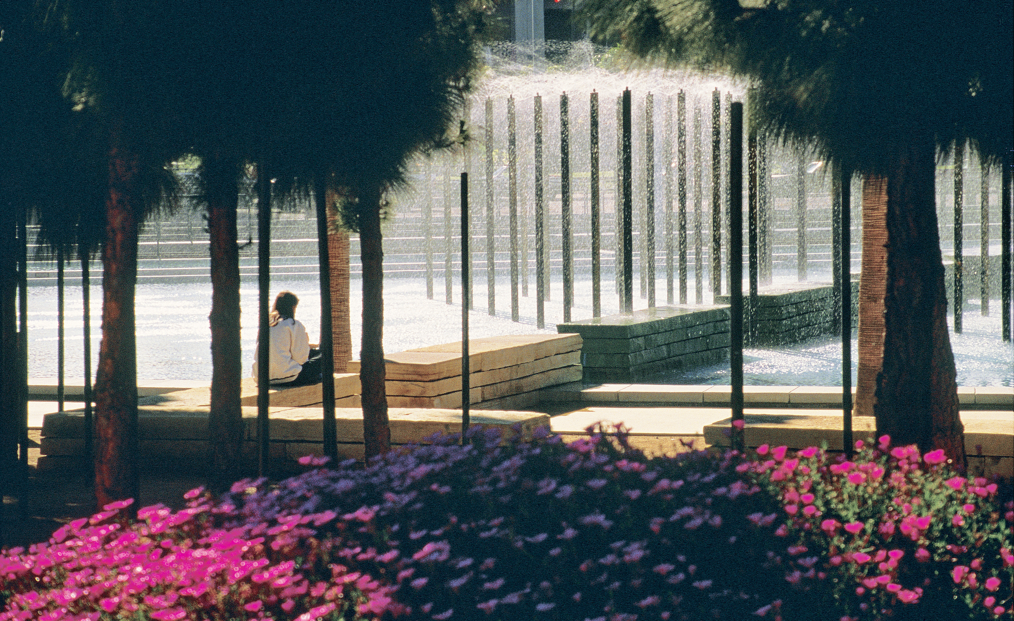 Children's Pond and Park, MLK Jr. Promenade — PWP-3