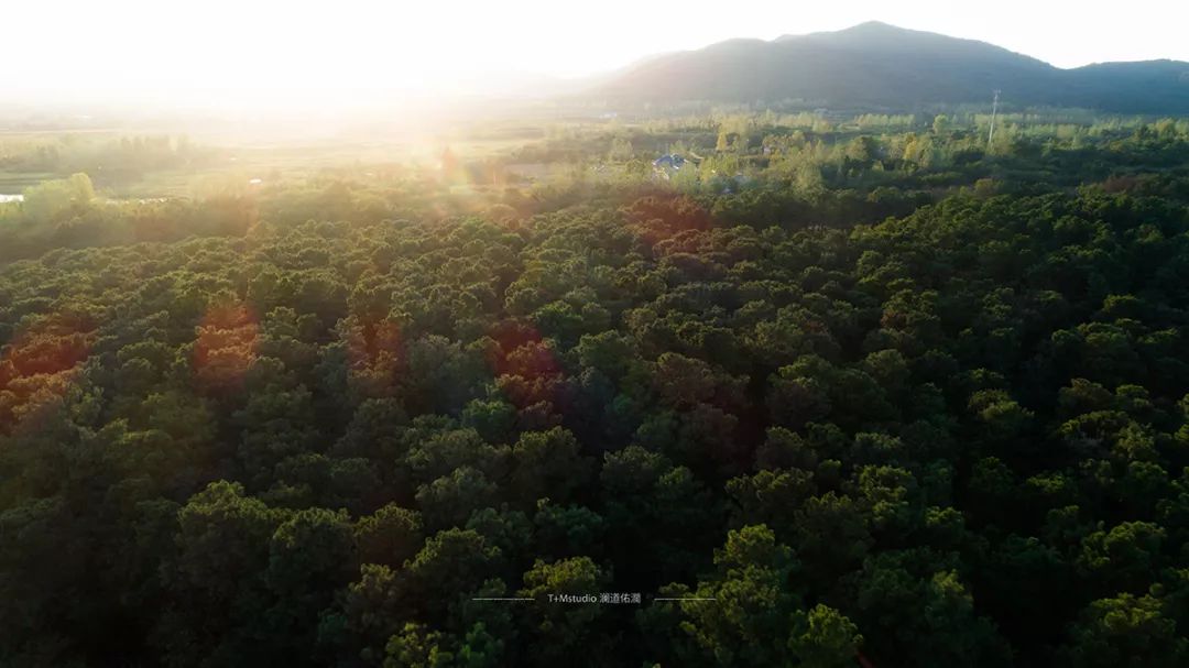 南京弘阳金辉·时光悦府 | 自然与设计的和谐共生-7