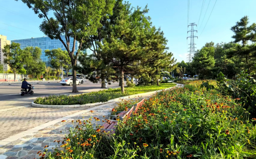 石园花街——顺义区首个花园式示范街区-71