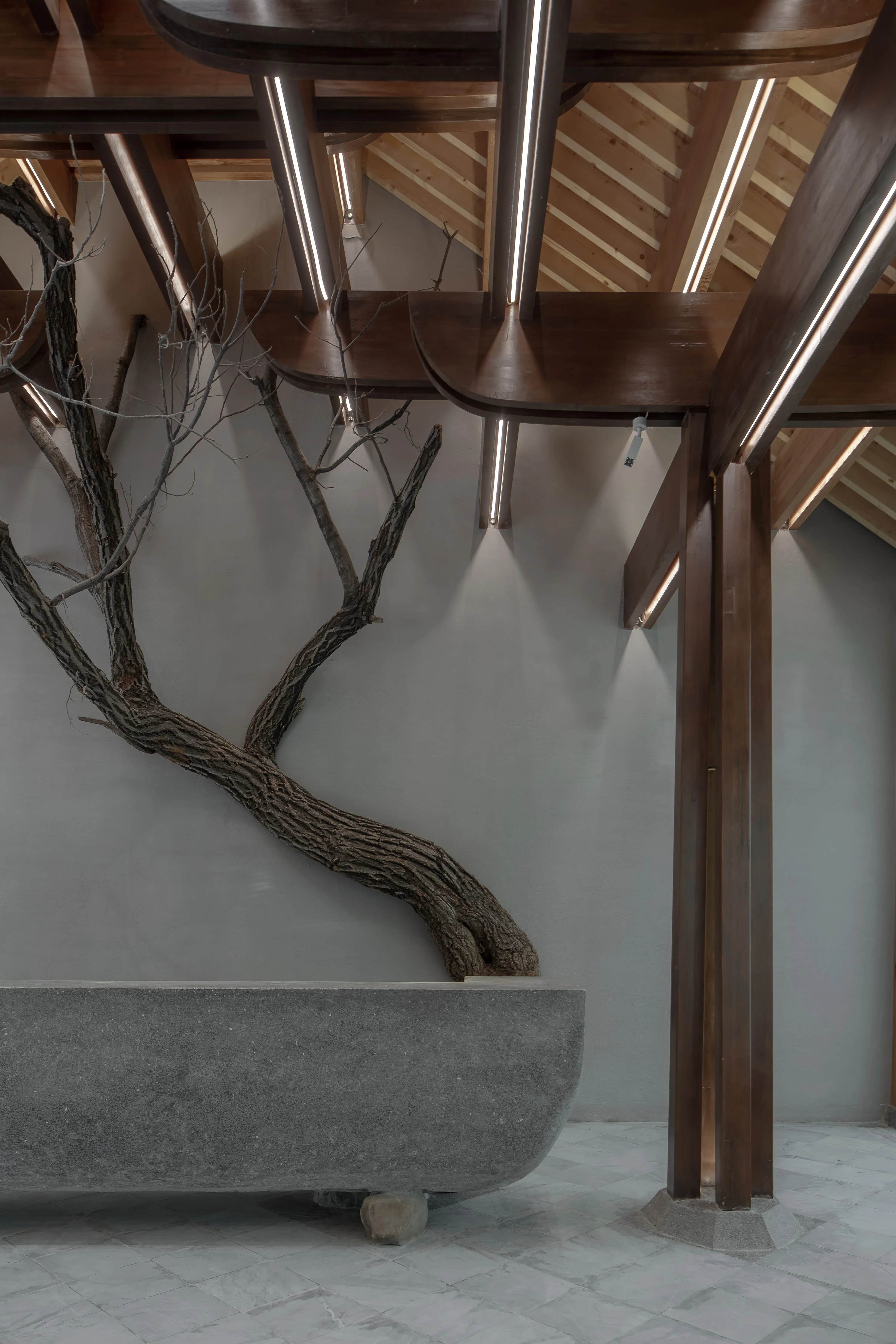 家族大厅 X·树下对真理的追寻-34