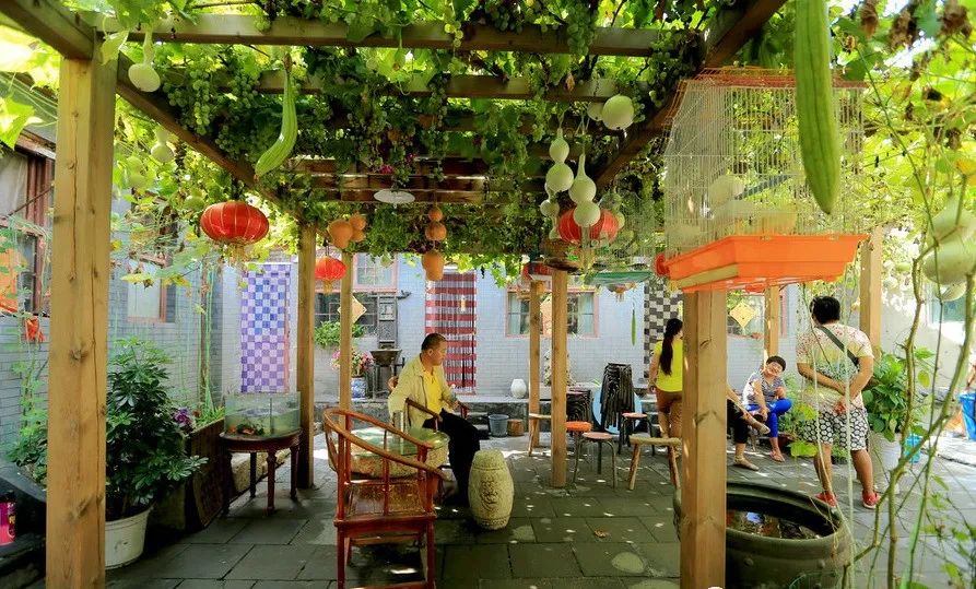 郊区“同居式”养老生活 | 自由、快乐、充实-1