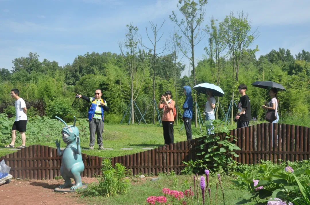 DDM 梦景未来 · 2021 年度获奖项目集锦-249