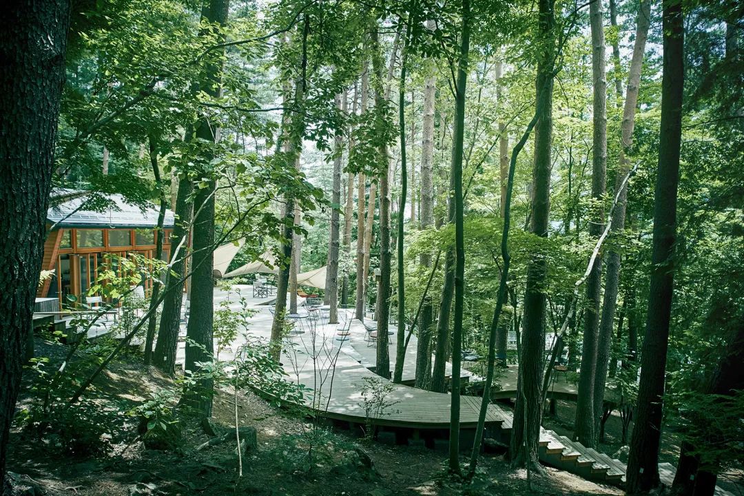 富士山“虹夕诺雅”度假酒店 | 感受自然之美-31