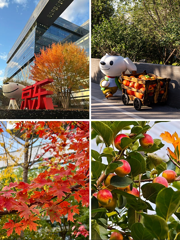 北京京东集团全球总部2号园区D座景观设计丨中国北京丨阿普贝思UP+S-73