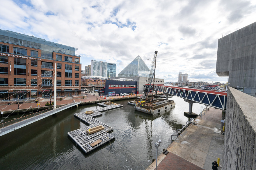 国立水族馆港湾湿地丨美国巴尔的摩丨Ayers Saint Gross 事务所-56