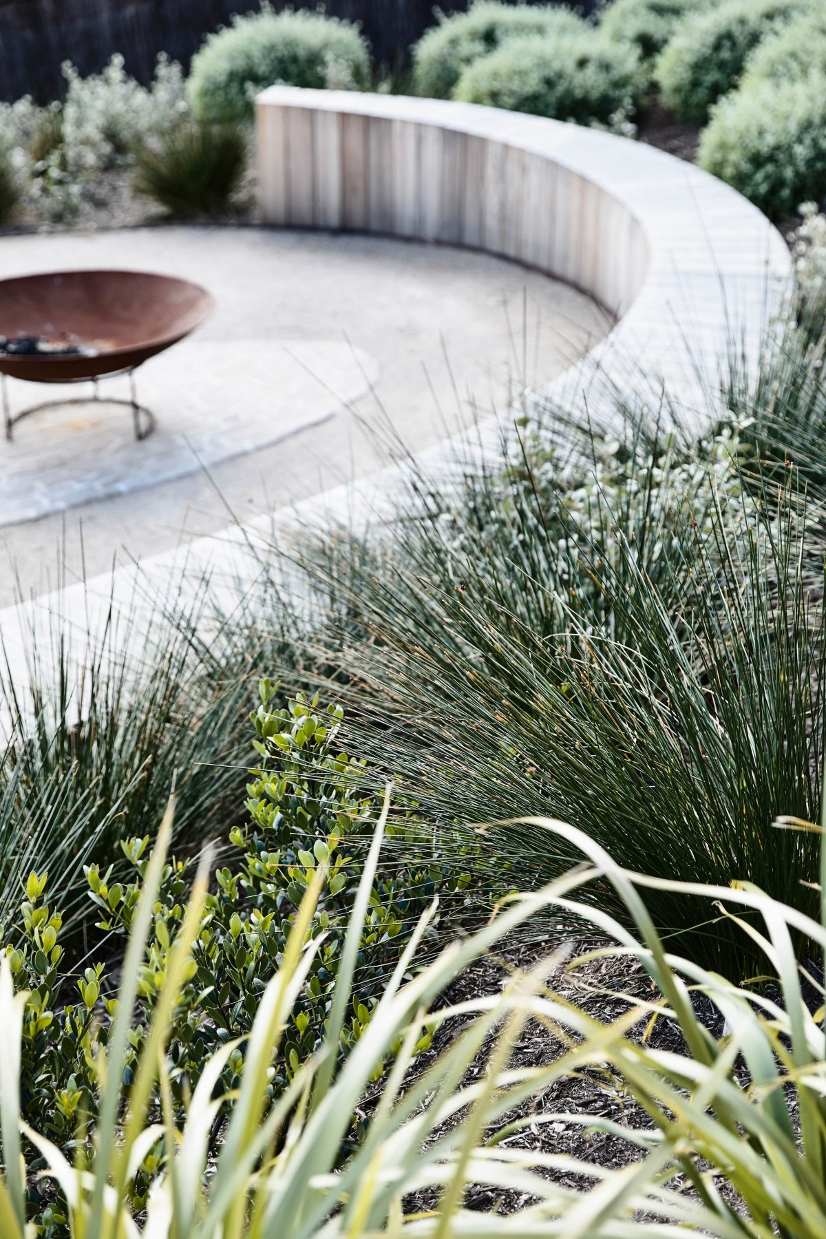 悬崖上的绿洲-25