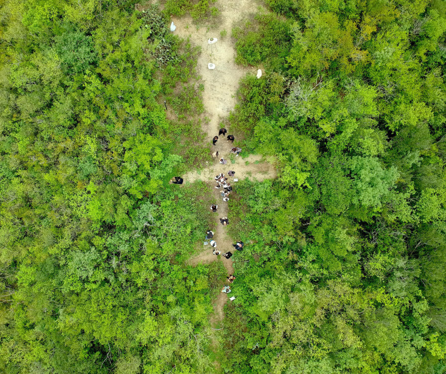 共生荒原 · 揭示人与自然和谐共生的景观建构-38