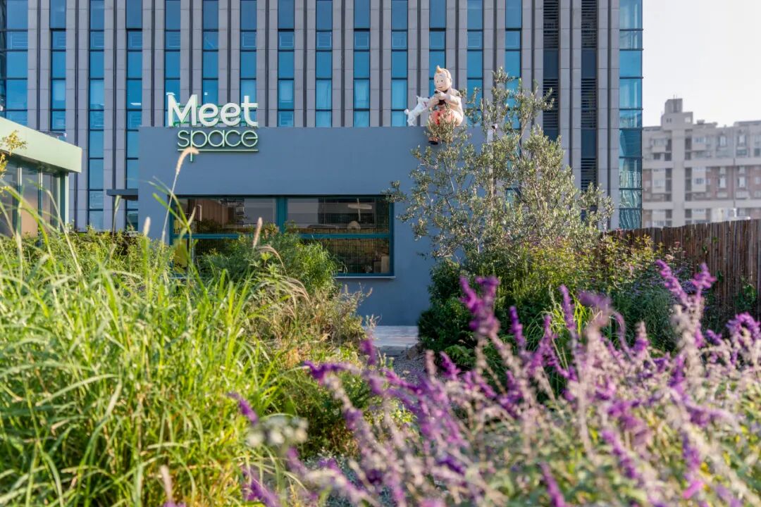 上海Meet·华大科技园办公改造 · 一场自然驱动下的空间共生实践丨中国上海丨予舍予筑-46