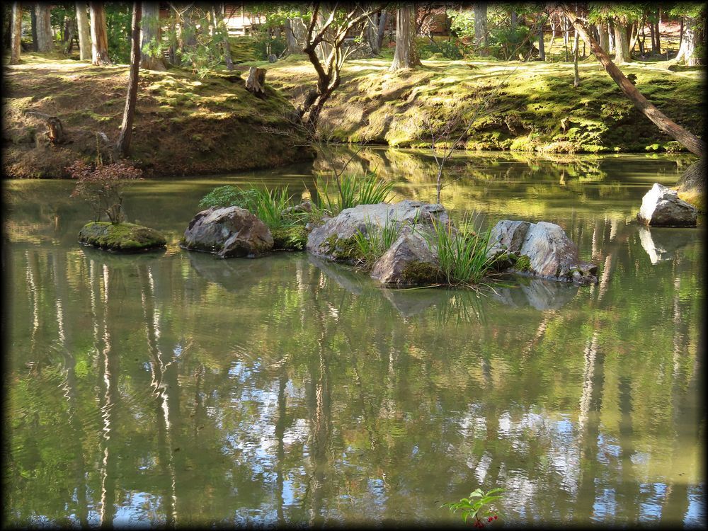 苔寺（西芳寺）的苔庭（黄金池,金刚池）丨日本京都丨梦窗疎石-16