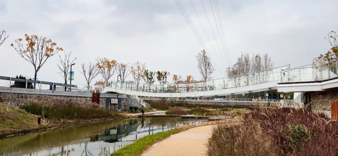 浦口区永宁街道玉兰河环境整治工程丨中国南京丨北京正和恒基滨水生态环境治理股份有限公司,扬州市勘测设计研究院有限公司-36