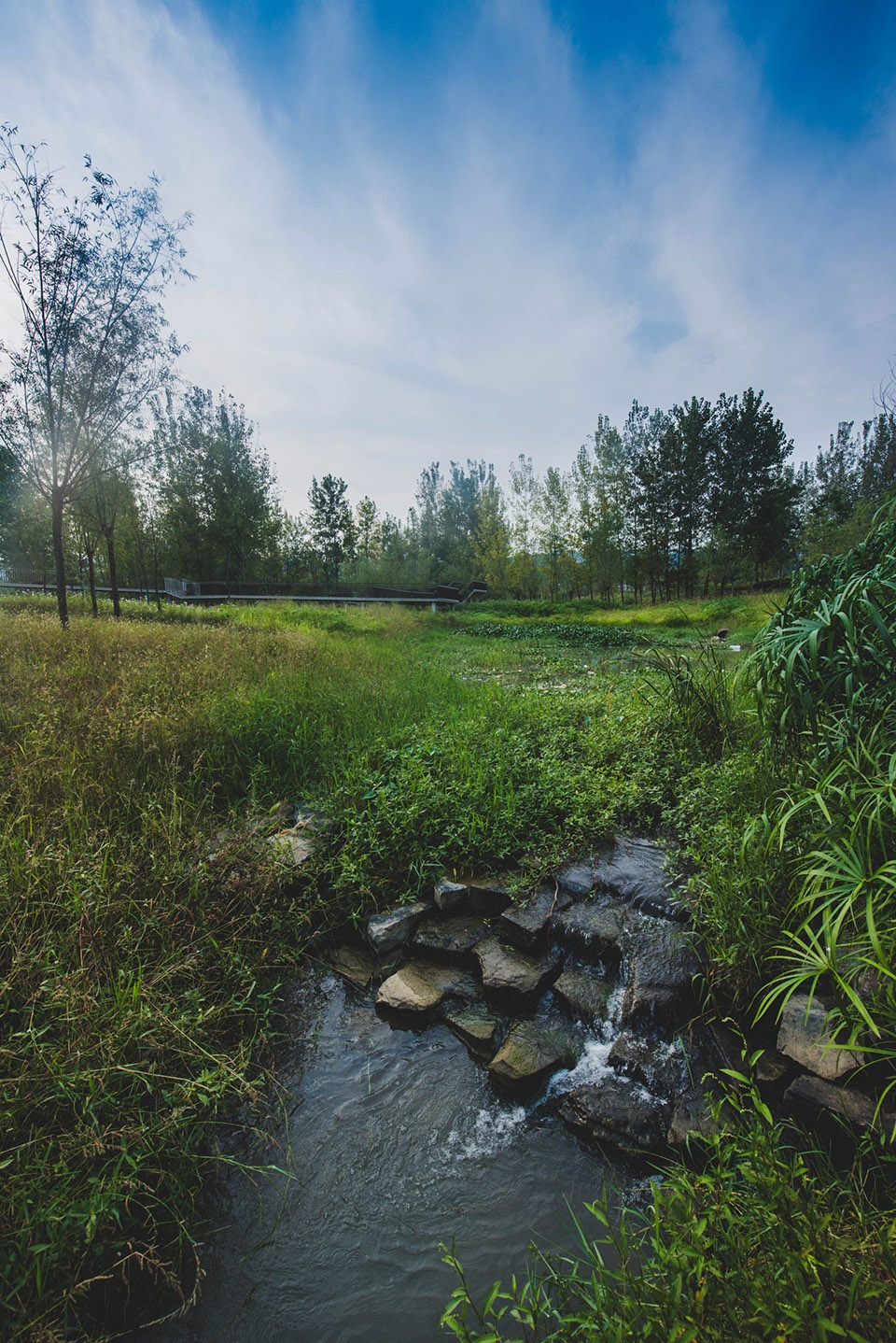 宜昌黄柏河湿地公园丨中国宜昌丨杭州园林设计院股份有限公司-121
