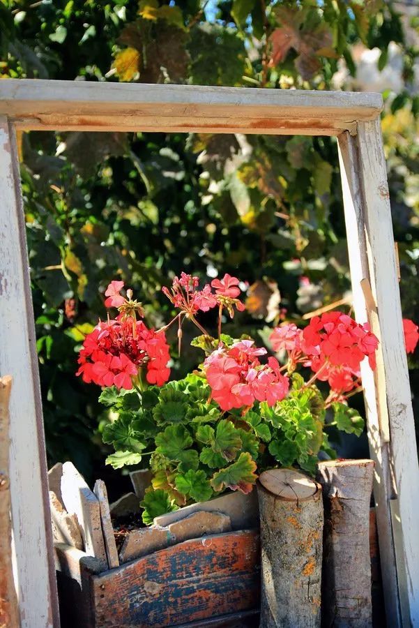 土耳其风格设计丨Escape From Sofa-82