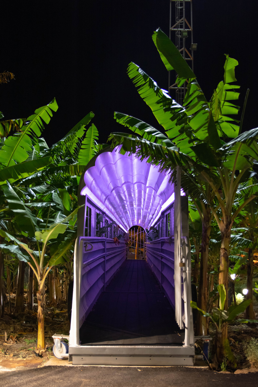 西班牙El Tanque文化空间丨Fernando Menis-57