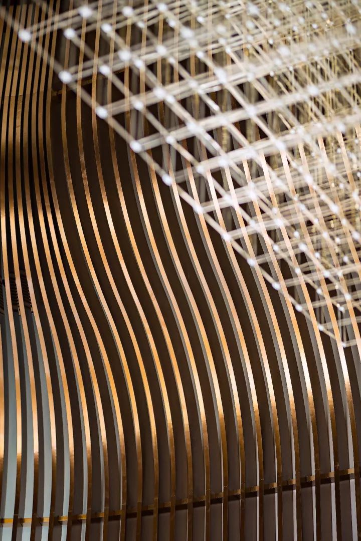 从你的全“室”界路过丨方磊新作-11