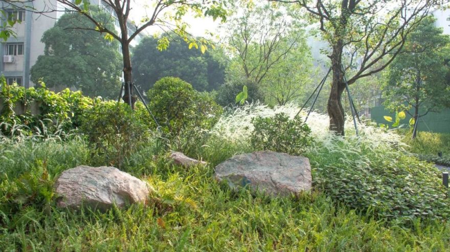 紫涧园(郊野径入口)景观设计丨东大(深圳)设计有限公司,AECOM-51