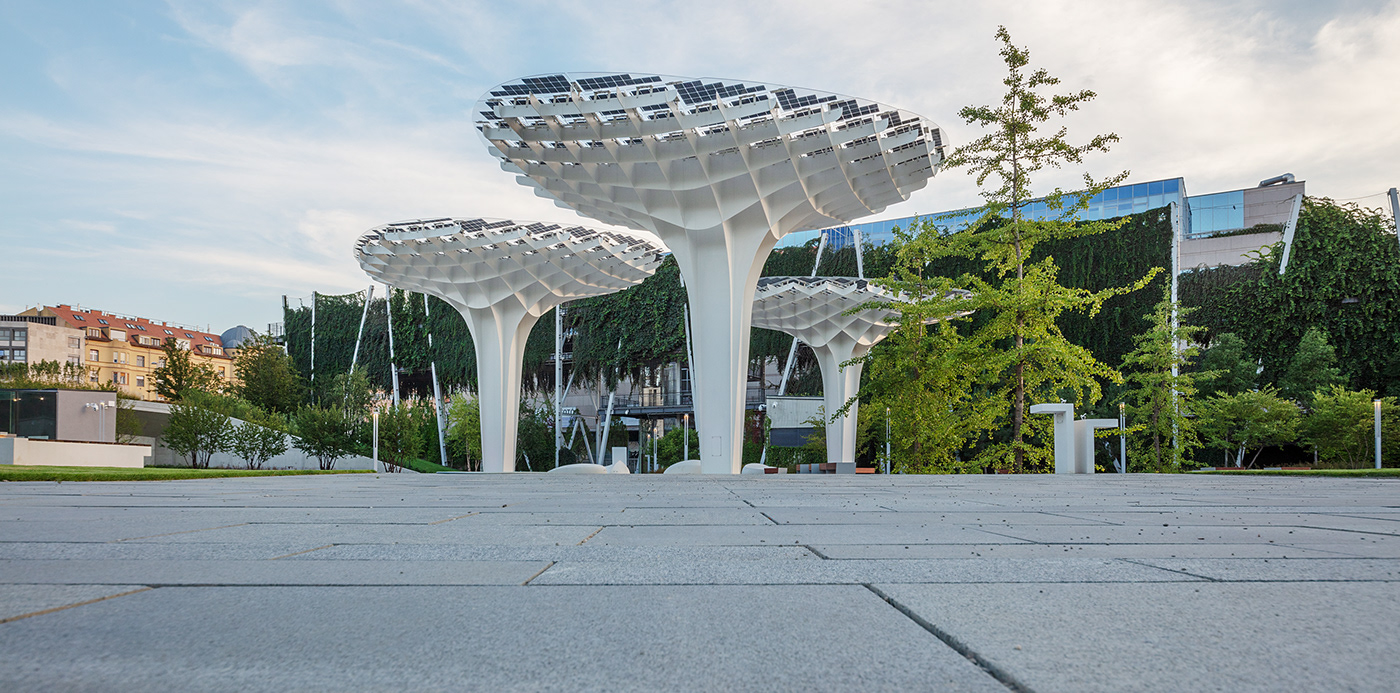 风之门丨Anastasiya Gushchina-10