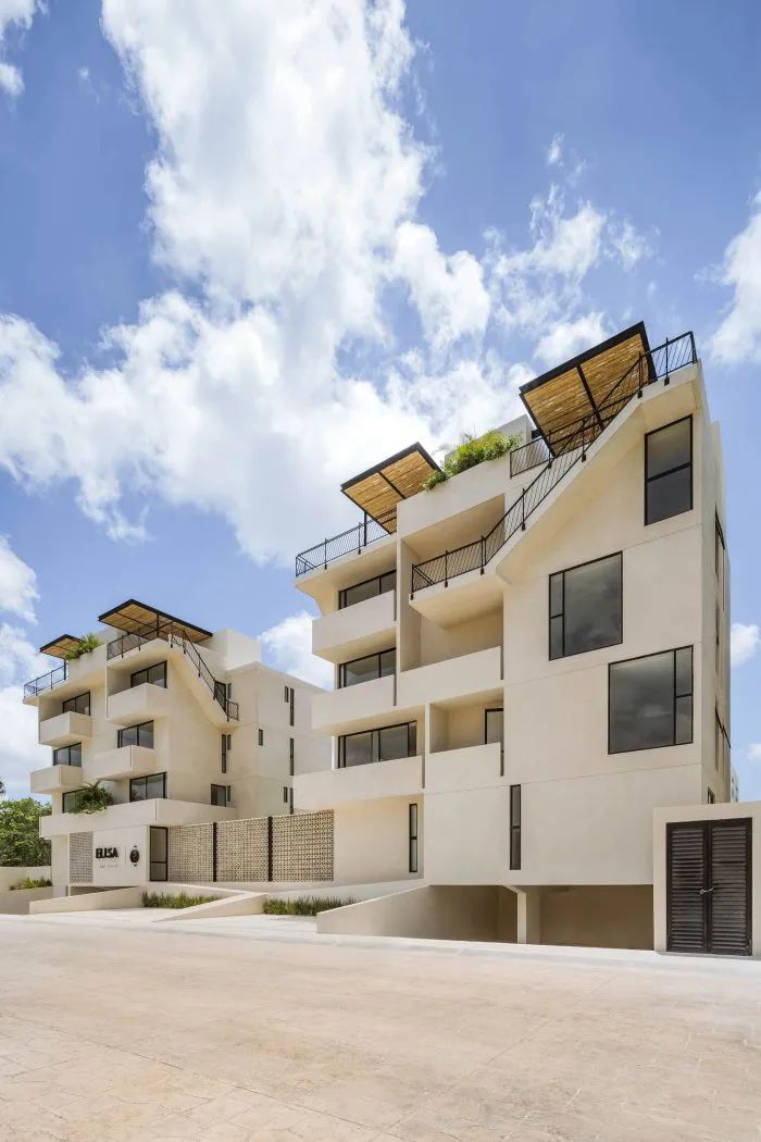 Elisa Wow 公寓丨墨西哥丨Live Desarrollos-5