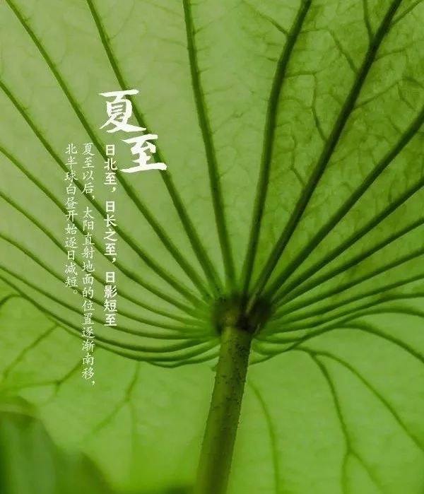 佳源帝都温泉山庄 | 四季与空间共舞,品味生活美学-23