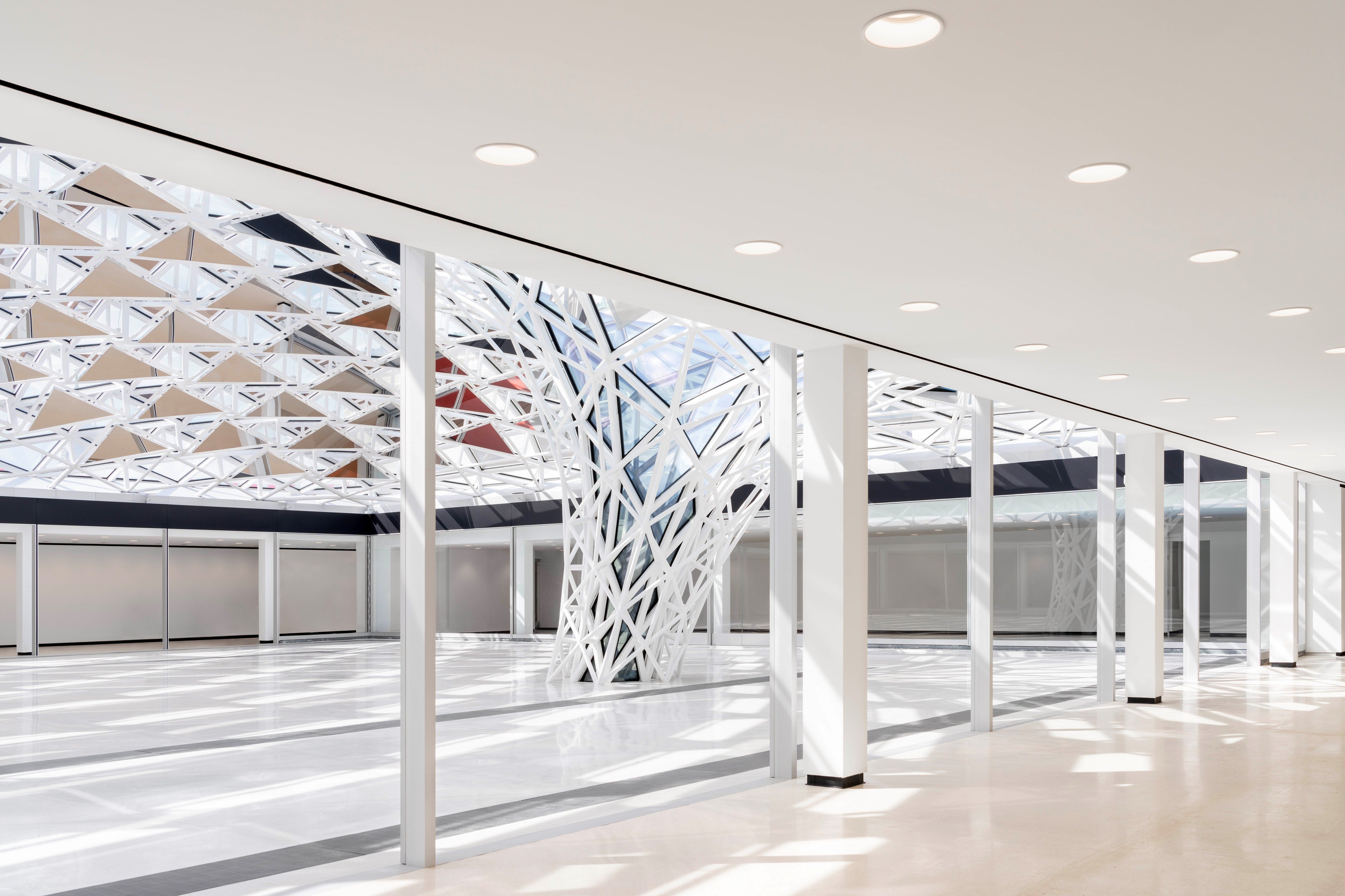 布法罗 AKG 艺术博物馆丨美国布法罗丨OMA-41