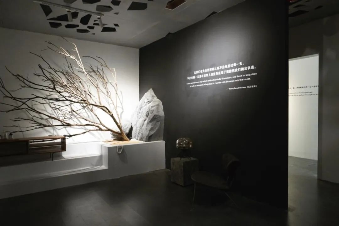 自然光影中的精致空间设计-38