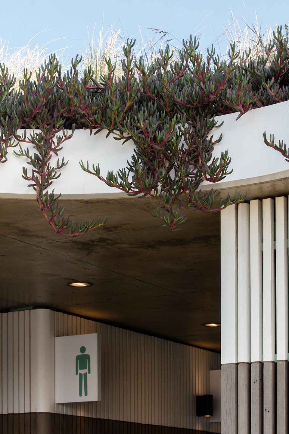 悉尼北邦迪公共设施-26