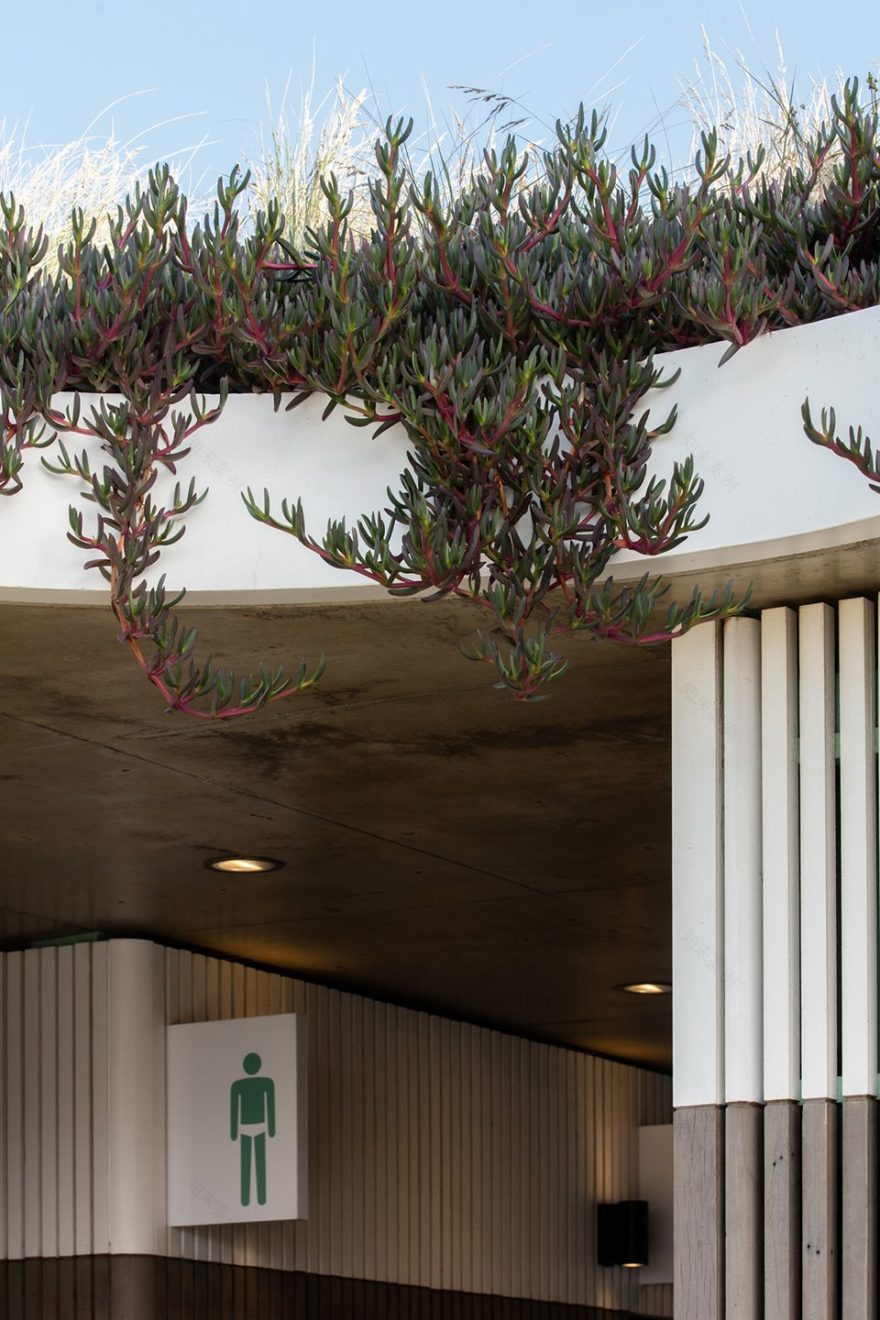 悉尼北邦迪公共设施-26