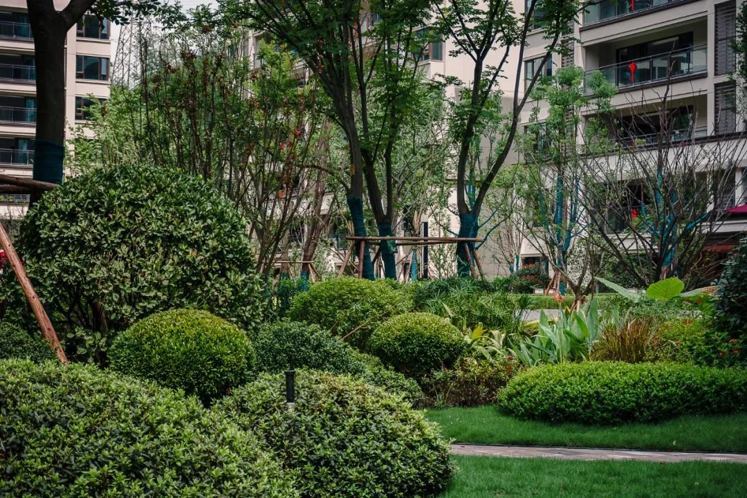 万科·金开悦府锦悦 | 生活“园”来如此-117