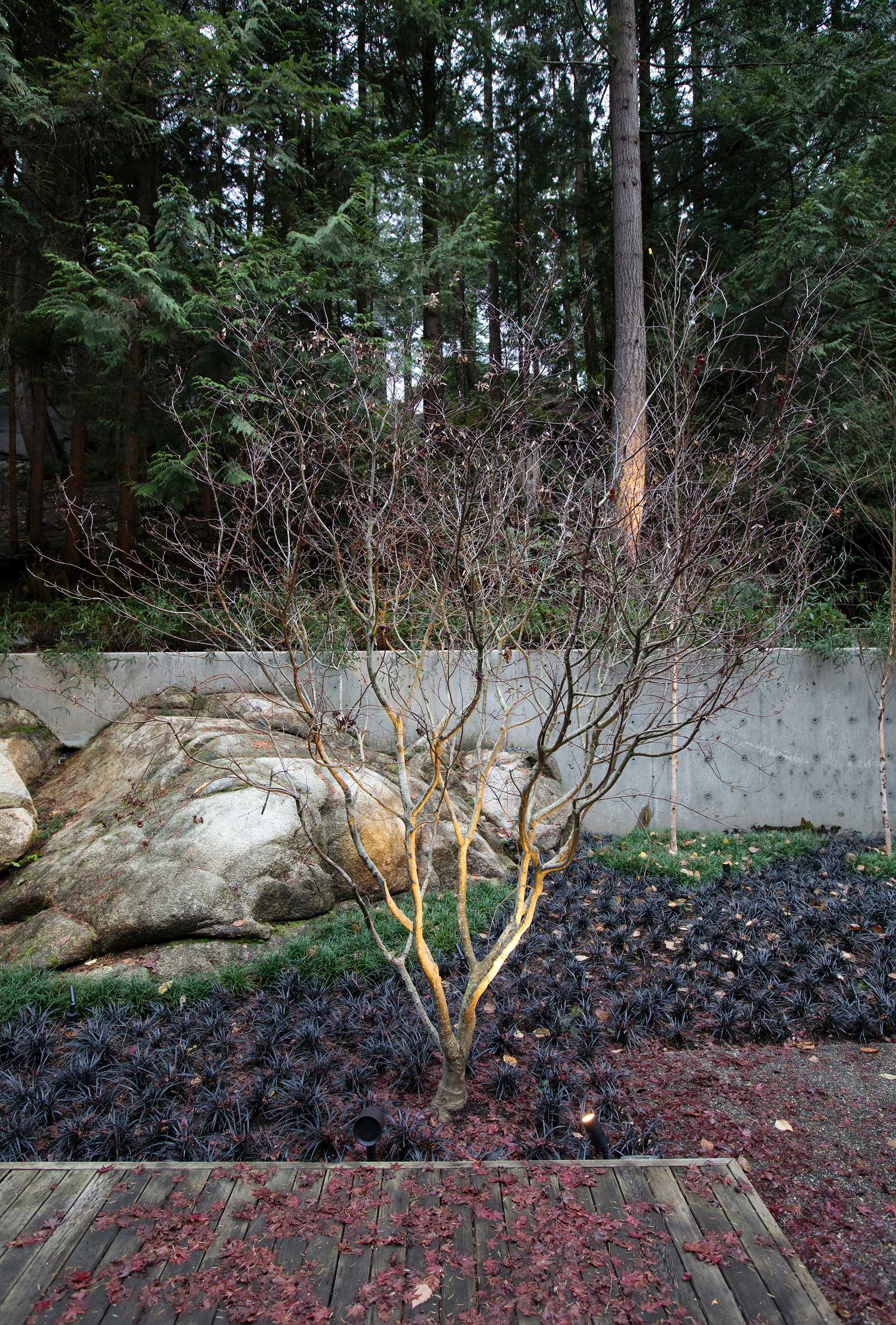 柏树瀑布住宅-7