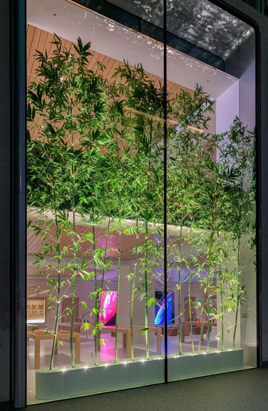 东京苹果旗舰店,现代与自然的和谐融合-27