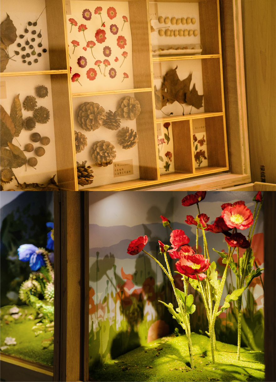 移动的森林博物馆丨中国上海丨蚂蚁森林 x 不是美术馆-16