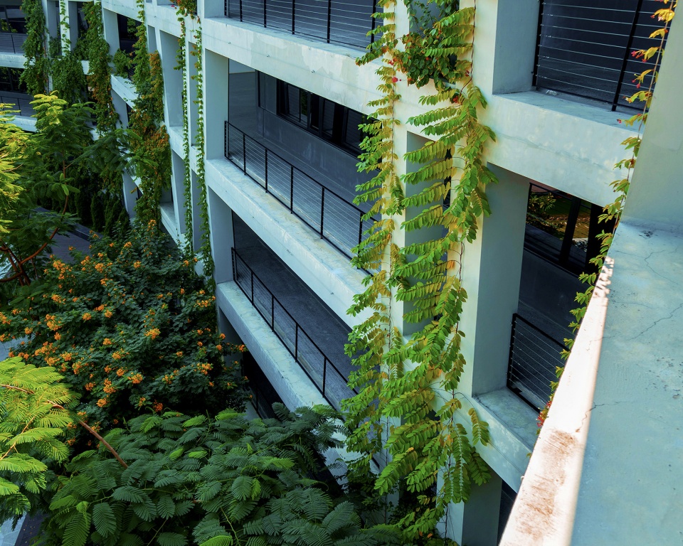 混凝土蕾丝 · 越南高科技园区的绿色办公楼-19