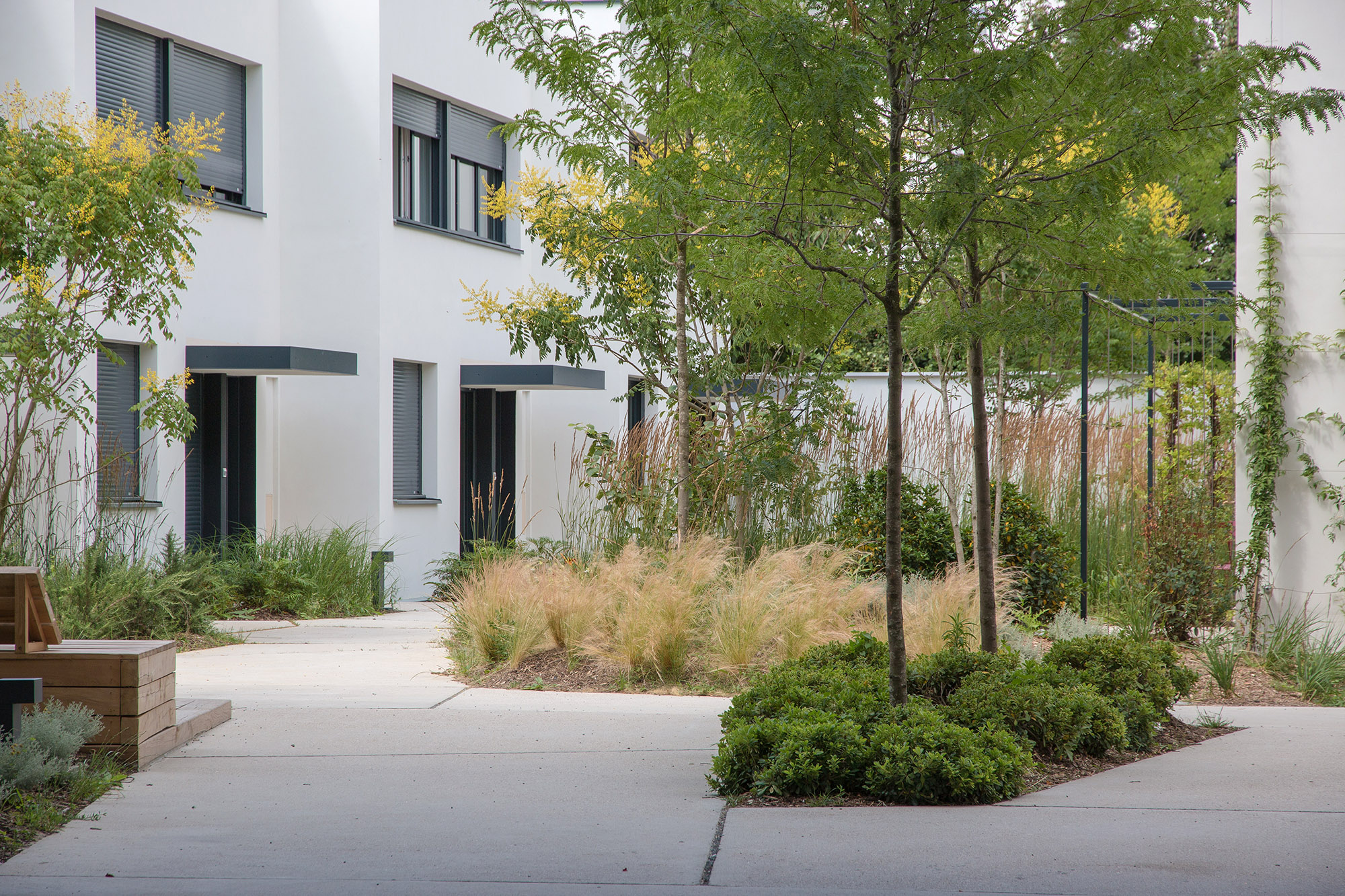 Pantin-Canal - La Compagnie du Paysage-43