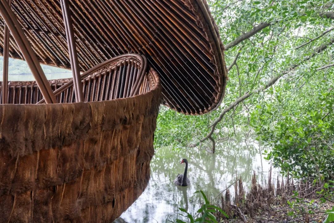 南沙湿地观鸟艺术竹构丨中国广州丨竖梁社,华南理工大学建筑学院-56