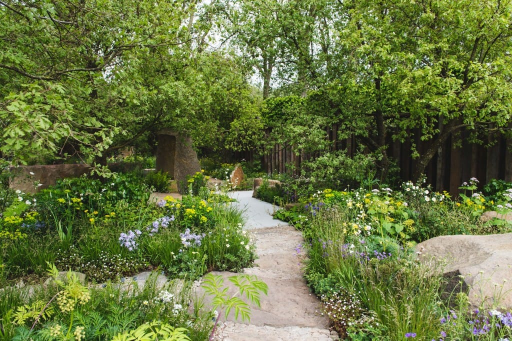 橡树林的回忆 | Cleve West 的 M&G 花园-11