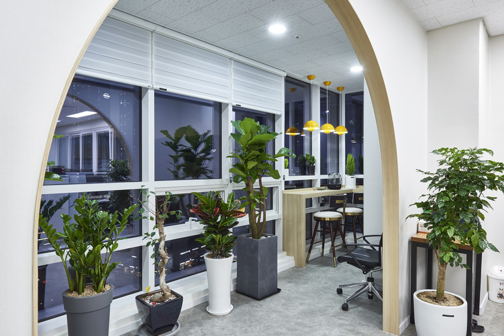 "白色与木质，31 平米知识产业中心的简洁内饰"-18