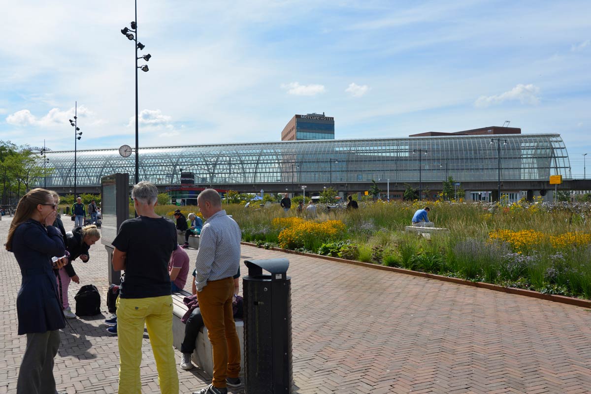 阿姆斯特丹交通枢纽绿色公共空间惊艳变身-12